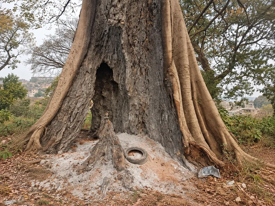 Sierra Leone Needs Environmental Education Now